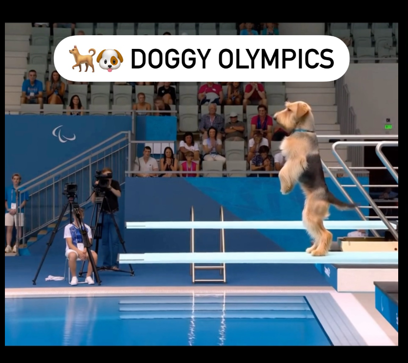 How We Created a 79 Million View “Dog Olympics” Video Using AI: A Step-by-Step Guide